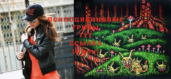 PSILOCYBIN Каменка