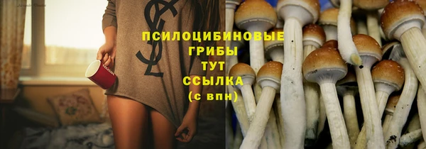 PSILOCYBIN Каменка