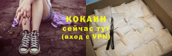 PSILOCYBIN Каменка