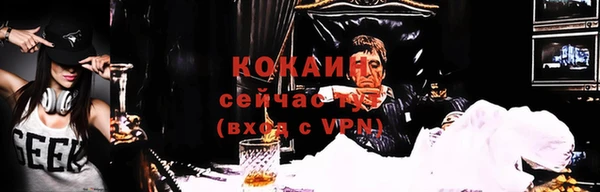 PSILOCYBIN Каменка