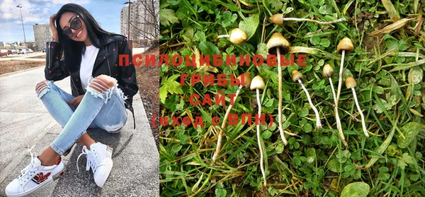 PSILOCYBIN Каменка