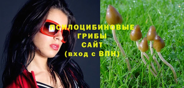 PSILOCYBIN Каменка