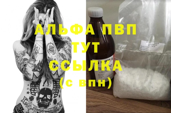 PSILOCYBIN Каменка