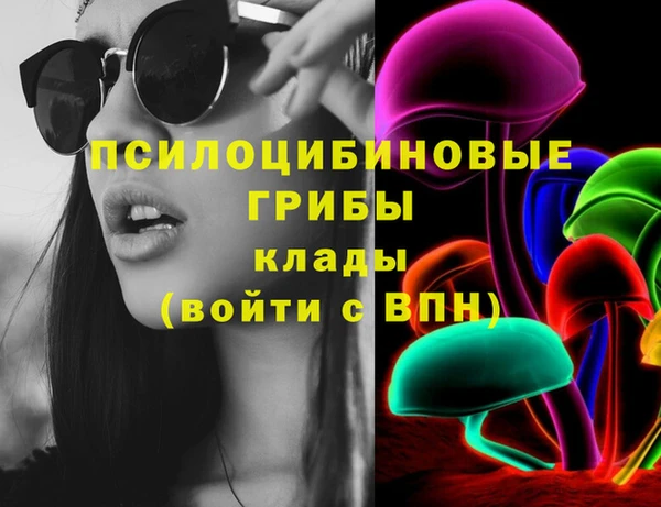 гашик Каменск-Шахтинский